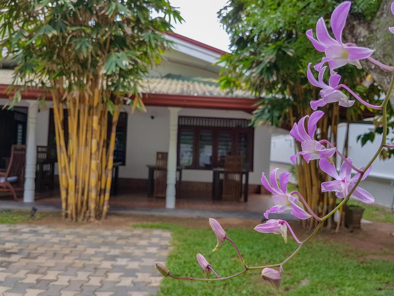 White Villa Beach Resort Mirissa Dış mekan fotoğraf